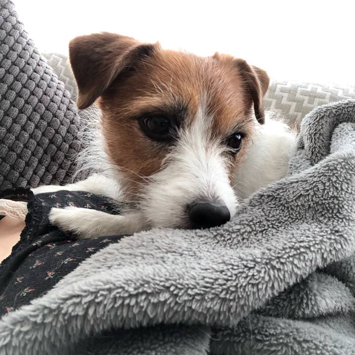 2d521d70 f1d3 4b51 876d 833556f0d866 1618700850582