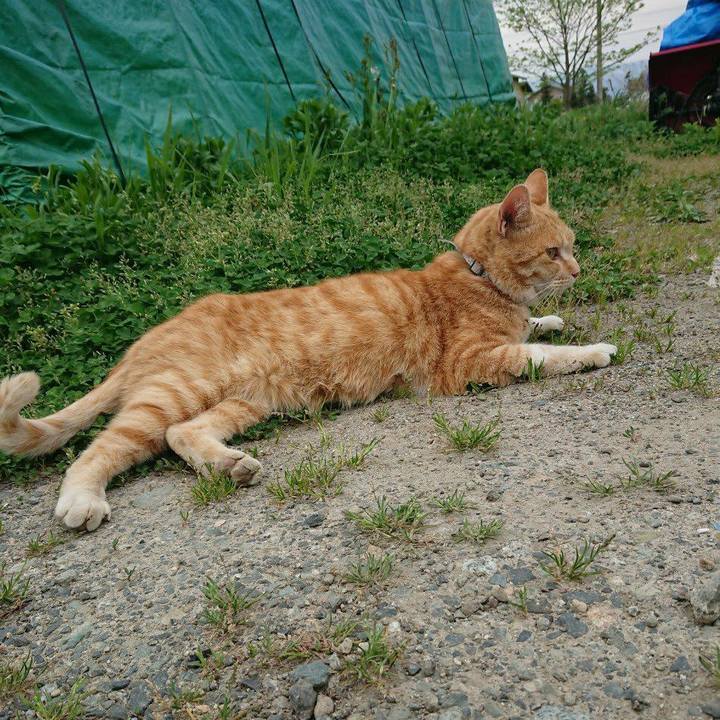 2d5228c4 0396 4be4 a5e9 f16dc0bb2aa1 1589008538127