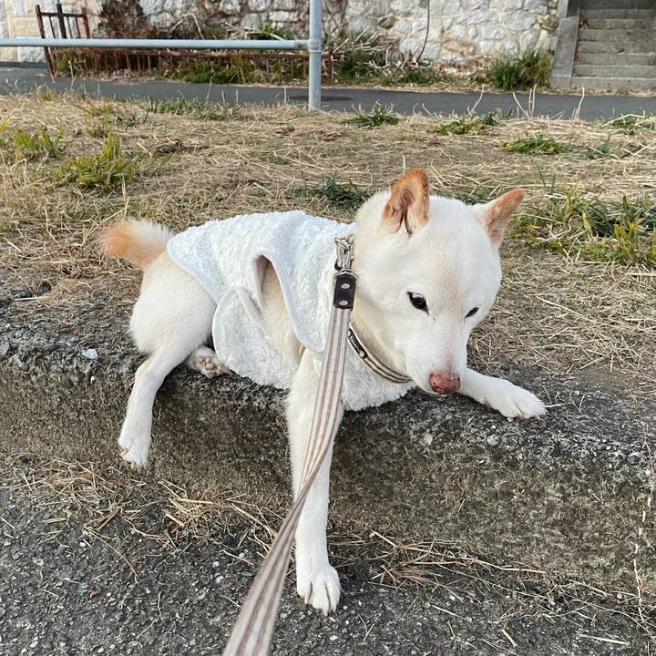 2d522ca6 f46d 4e54 a835 84d0c8904ddc 1642120131064