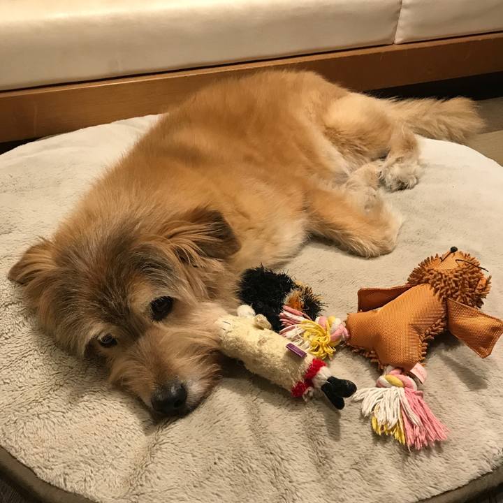 2d527fc5 5f3a 4763 8b1f 4a5aeb18c83c 1606745226081