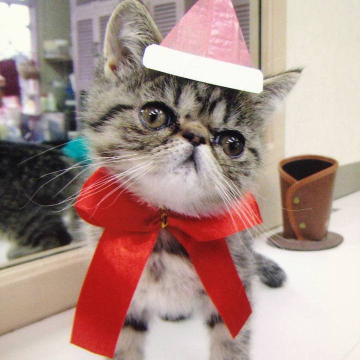 2d529712 995d 4436 a310 a2d49696bec2 1513817086642