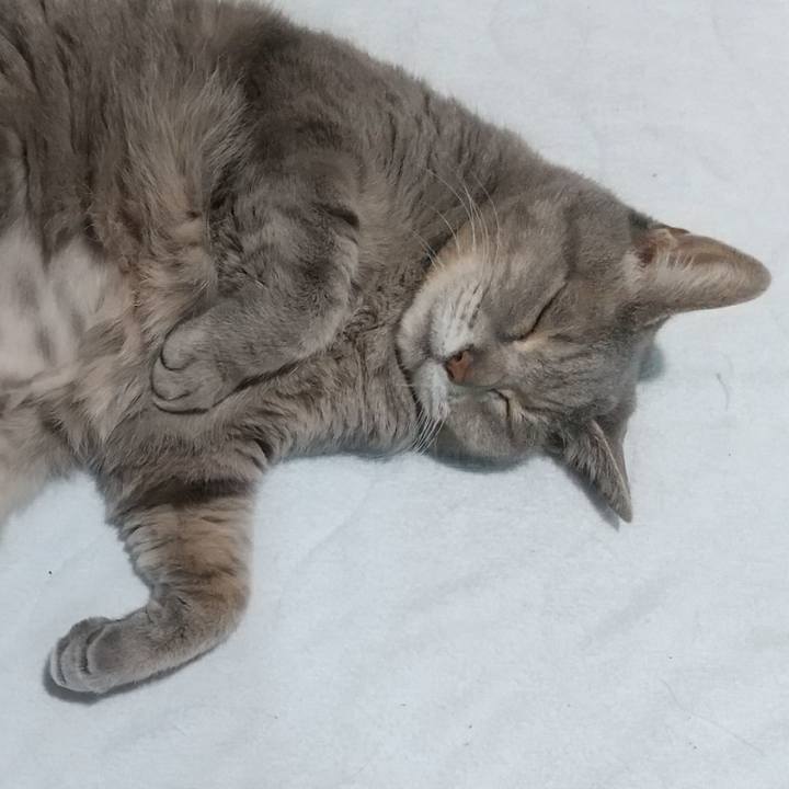 2d52a1ff 5fb2 486d bcb8 dec777fe6b76 1673952737266