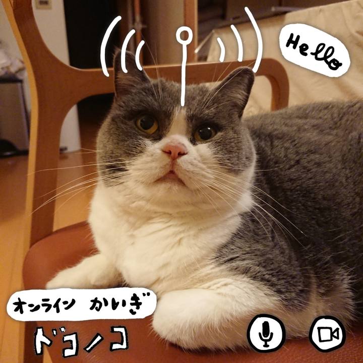 2d52a5f1 f7fb 4468 8172 4dbeb22cbccf 1590762072408