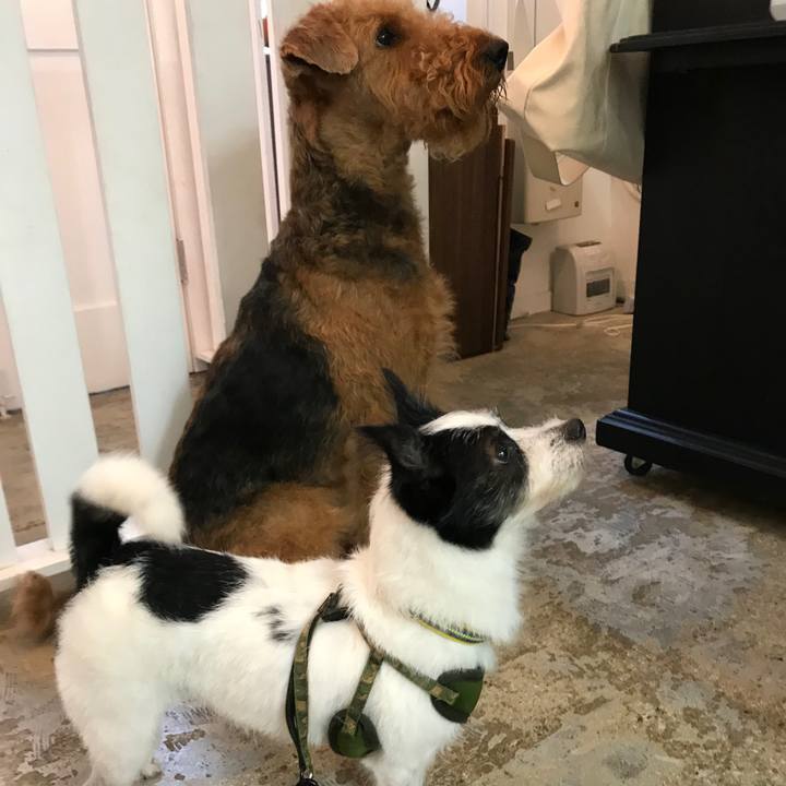 2d52a811 f1f8 46fb 87a4 7694f765702b 1602483064886