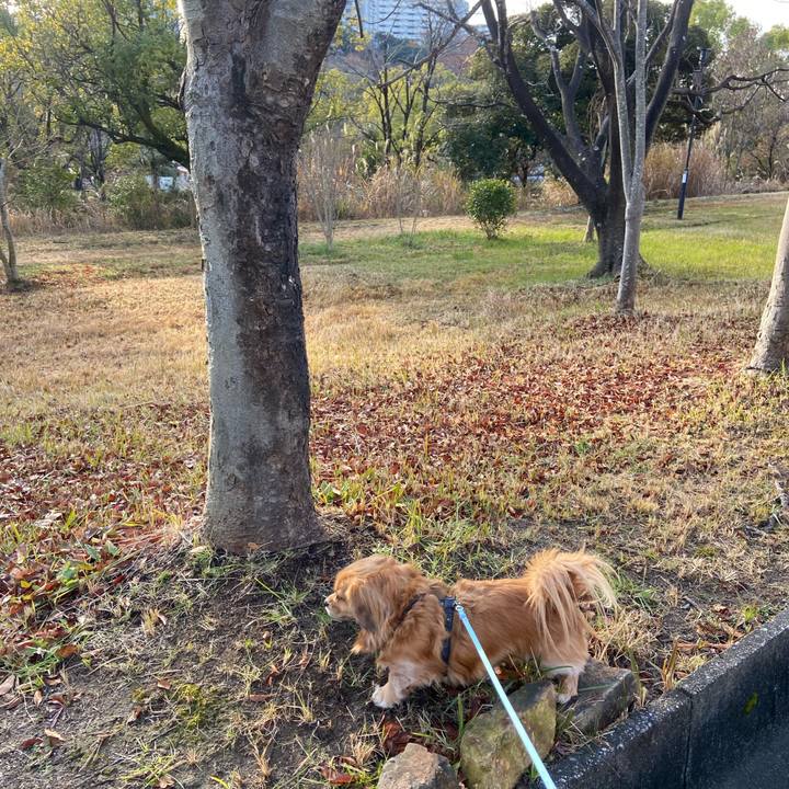 2d52b348 5e6a 4cb6 a2ac b0212f9ff46b 1609201308248