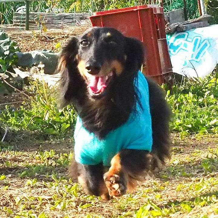 2d52b4b6 2268 4260 912f 9b7cd929ffd7 1525580687710