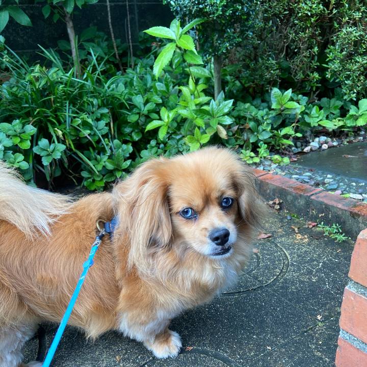 2d52f817 f685 4c5d 8285 649a98abd19a 1593555013598