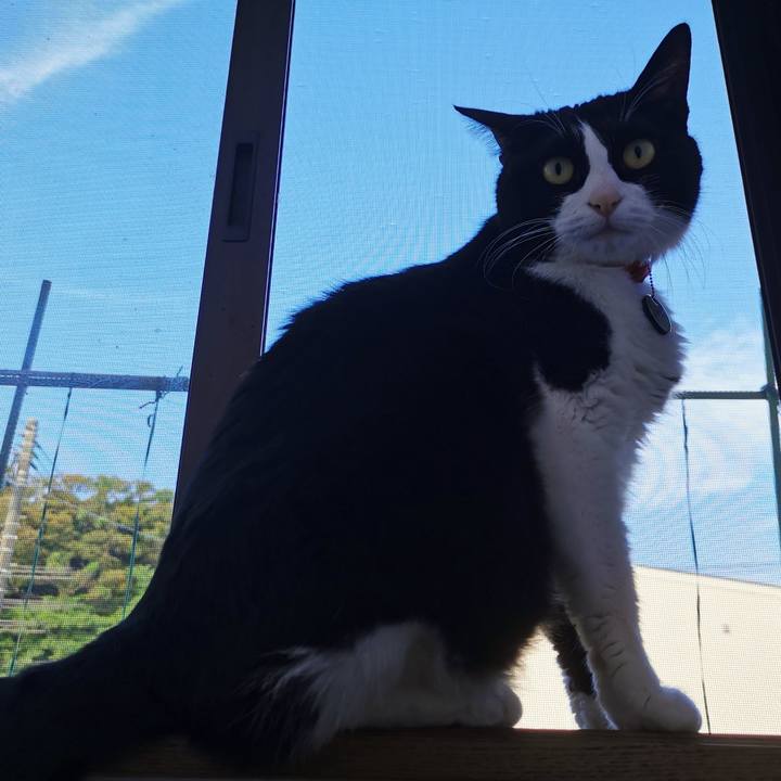 2d52ffc6 3777 403d b041 83c18fef014f 1655350917702