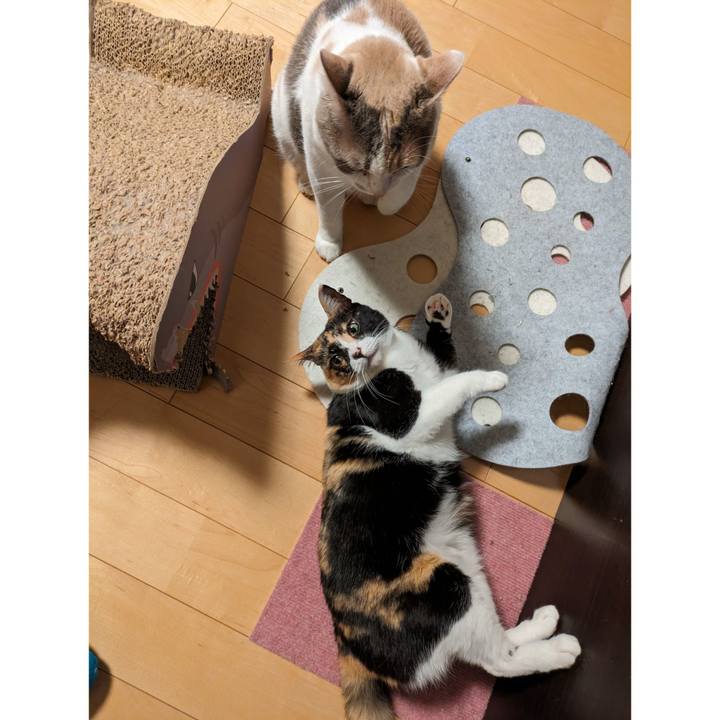 2d533e5a 028f 41e0 a961 ae81c8ed119e 1709787649527