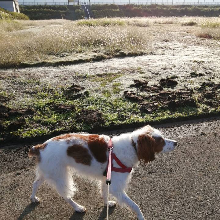 2d534956 cb17 44b5 bc93 6db85ce222b4 1603682512812