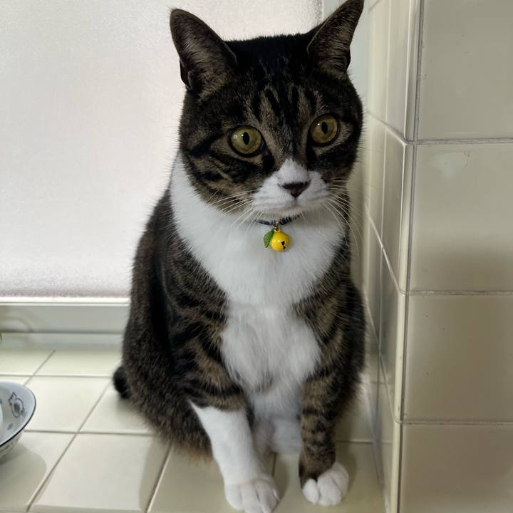 2d5349a2 078d 481f 8d6d f9ef828ee974 1759966414943