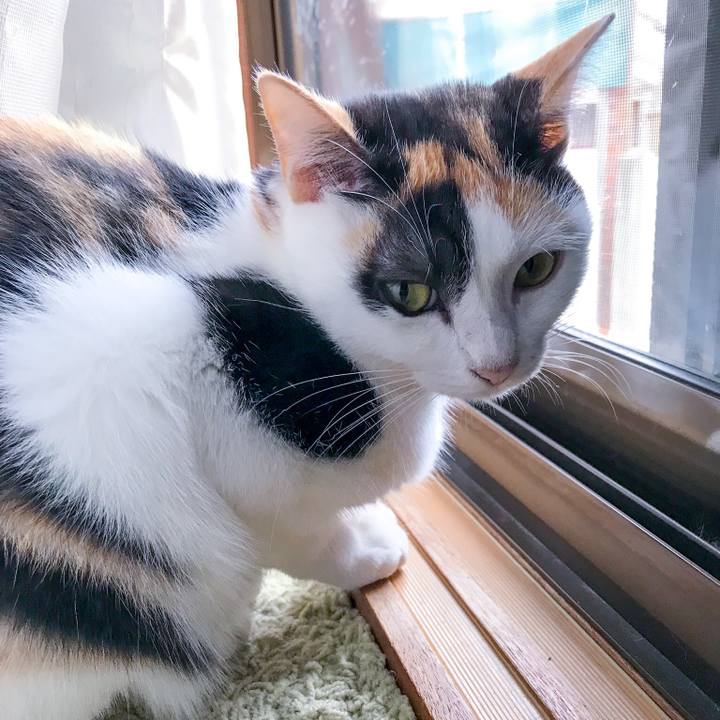 2d5364d0 7938 4dca aa88 868b9d98d6a8 1509245804538