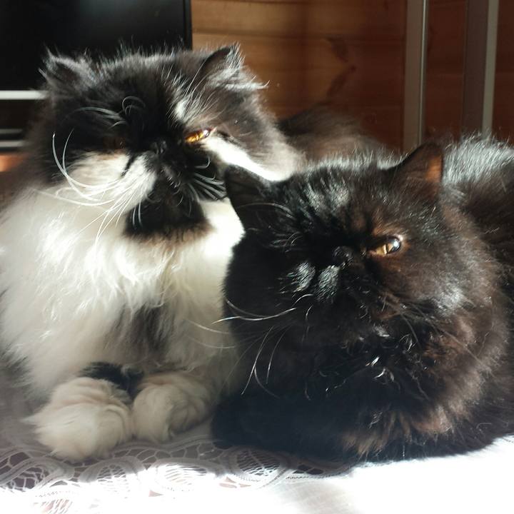 2d537579 a425 4b6e 80c2 1e46310599de 1516857759694