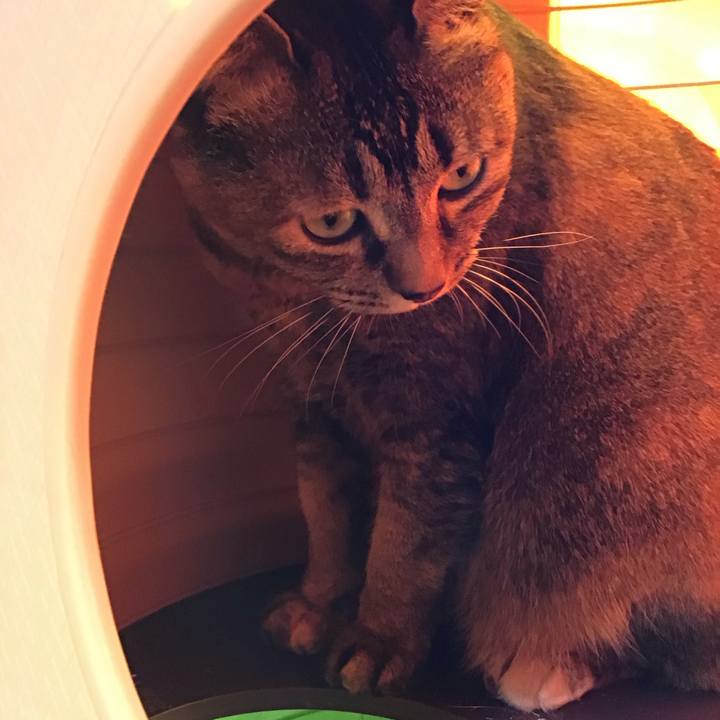 2d538fb3 5521 48dc 89c9 8e5dead8b1c0 1744884496331