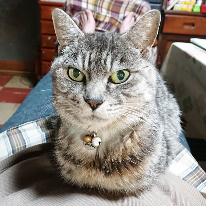 2d53c2b1 98c1 456c af3e 06ec8cf17d0a 1577271473348