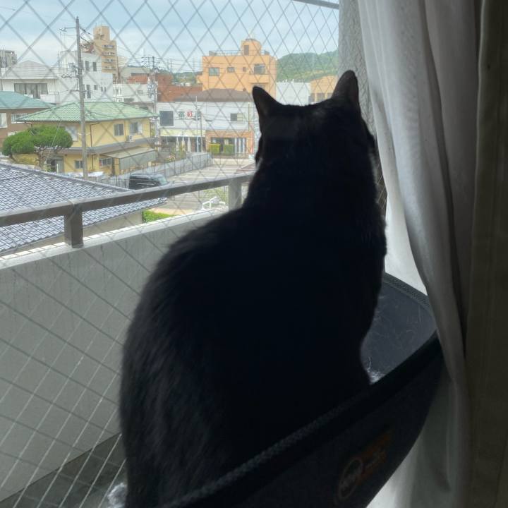 2d53ccc7 46e8 471a ada3 b6fcd42686da 1619143550399