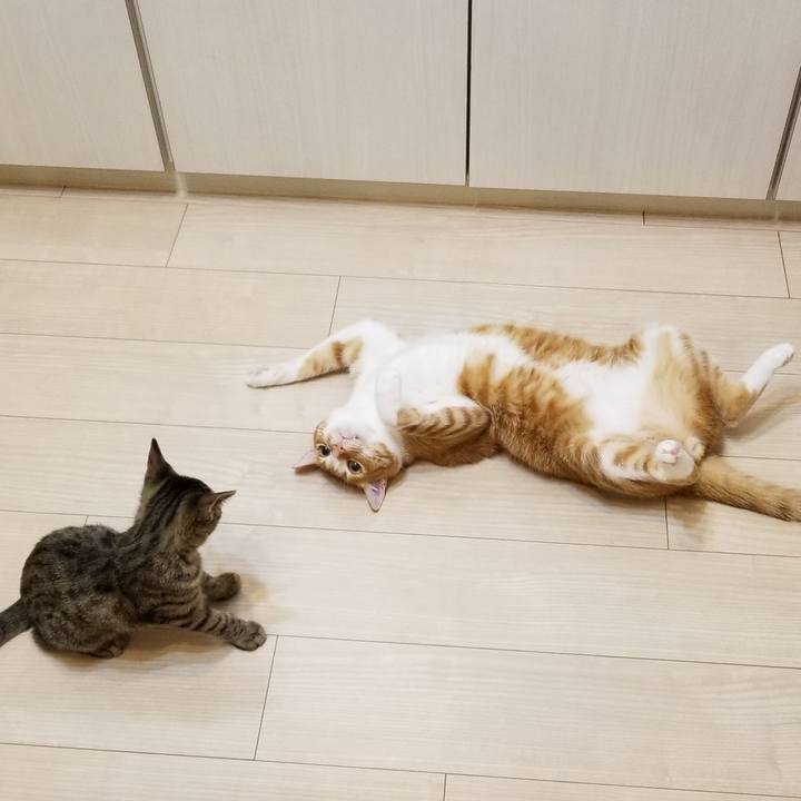 2d540d5f d677 44a0 a8a5 204d0a6fc3cb 1539788772285