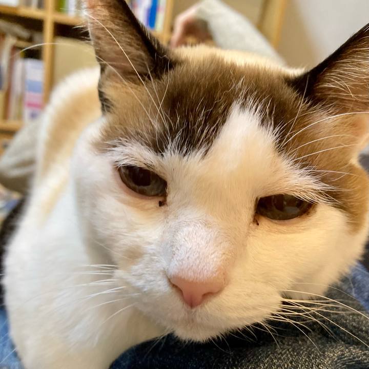 2d543c82 4cf7 4fb2 9037 bd8bccd584cb 1674896922540