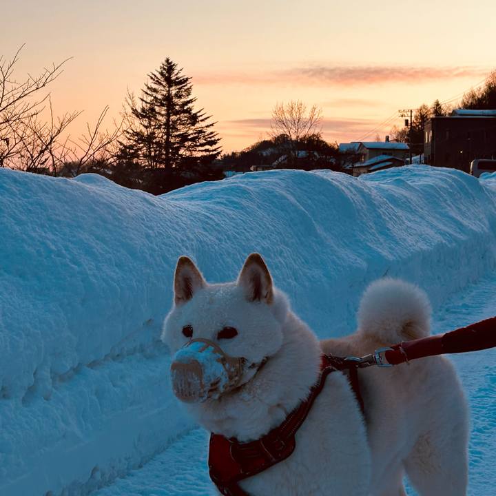 2d544b54 e3ef 4725 91a2 9d36e908548f 1767737365988