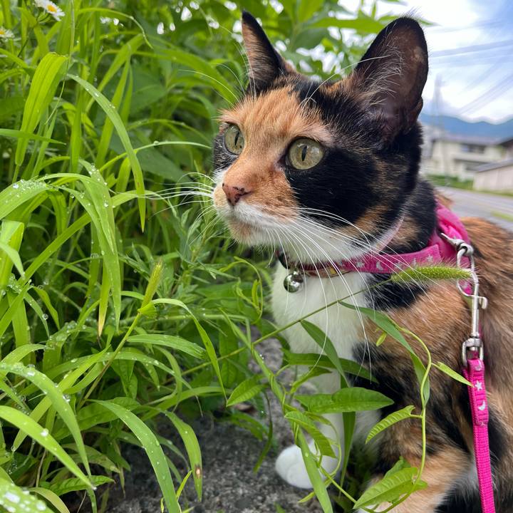 2d5453c5 ef6d 4dad 94a8 de425077b07c 1721876308650