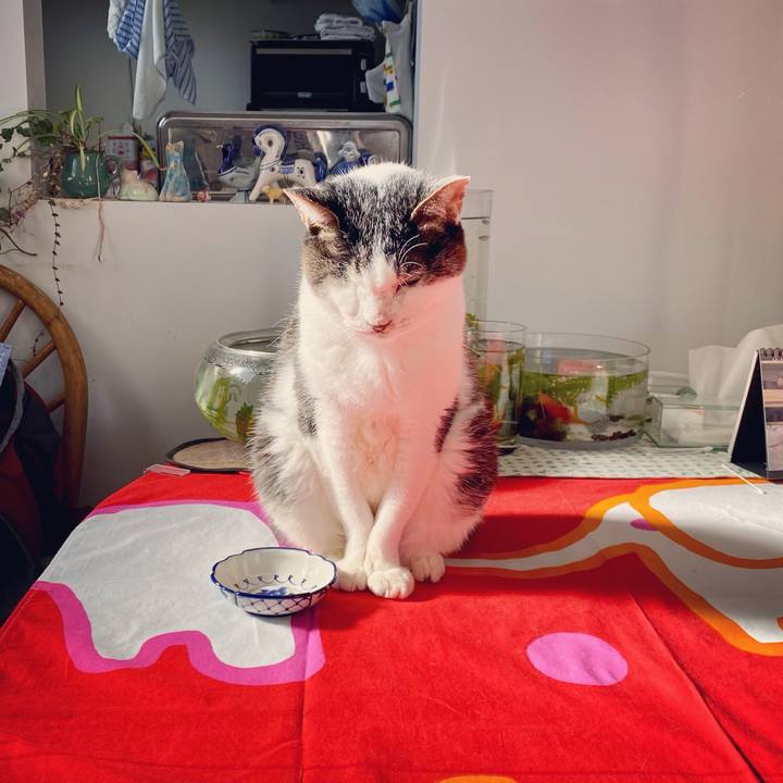 2d547edf 4d3c 4cc1 8520 0fa0510fc61e 1610160397494