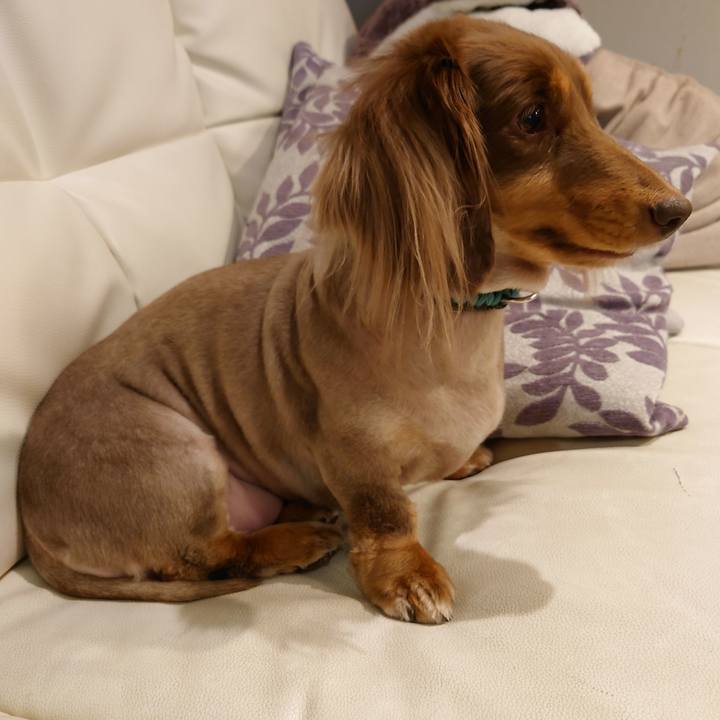 2d54b9d4 4125 4563 afec 7b89108e62f4 1671633345029