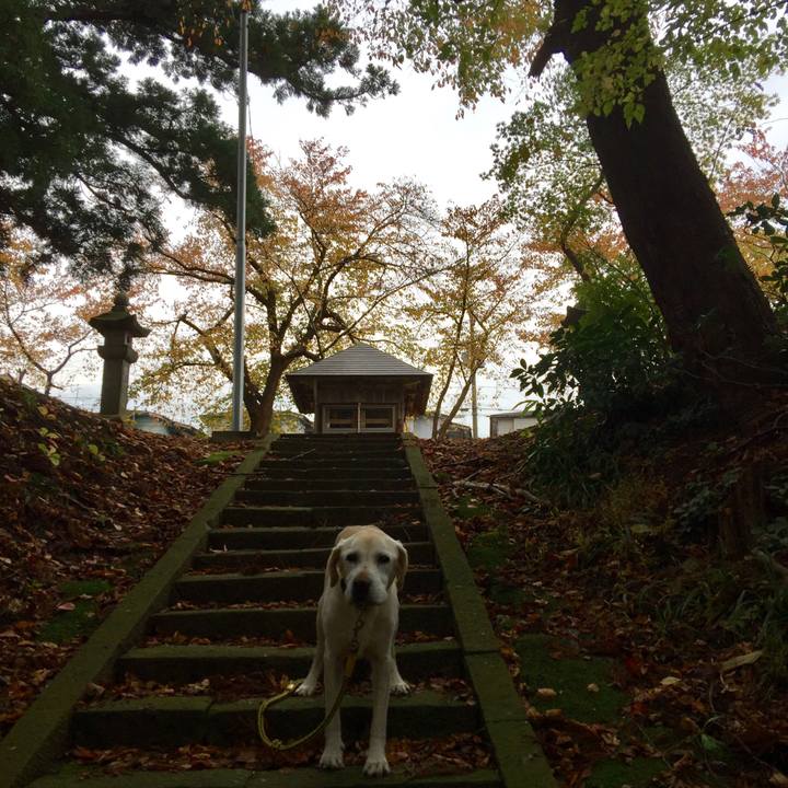 2d54bd0a d9c7 42be be6a c051a0480514 1569193853825