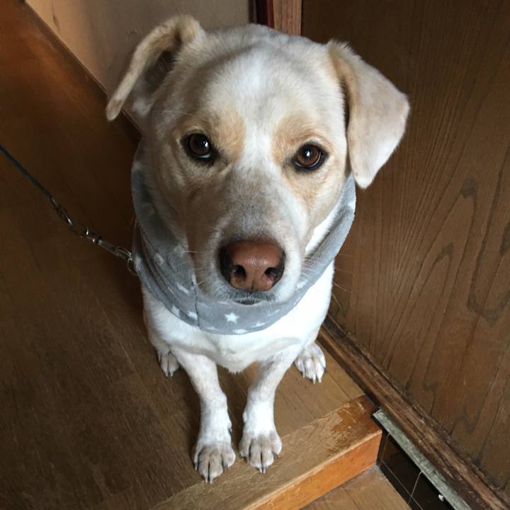 2d54c715 594d 4a1a 8fb5 a45359b544e2 1515713662692