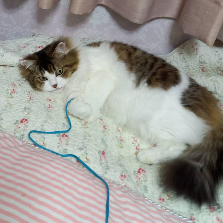 2d551cf0 559c 44c8 947b 05c5dd9e4192 1612391075204