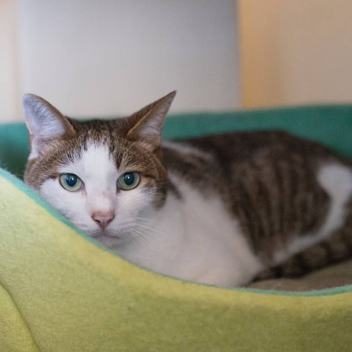 2d553f5e cb77 4231 855f 59bcd10a9add 1536205613473