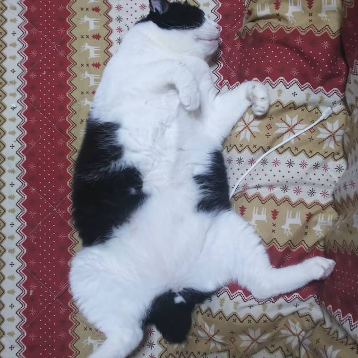 2d556059 b5e1 4f39 8a8c 17477fd7c16c 1565618428589