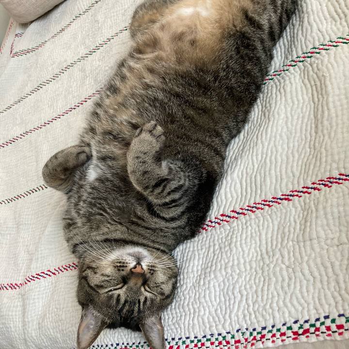 2d557e3b 6500 4de2 89c7 e2c32b5cf86b 1715142745232