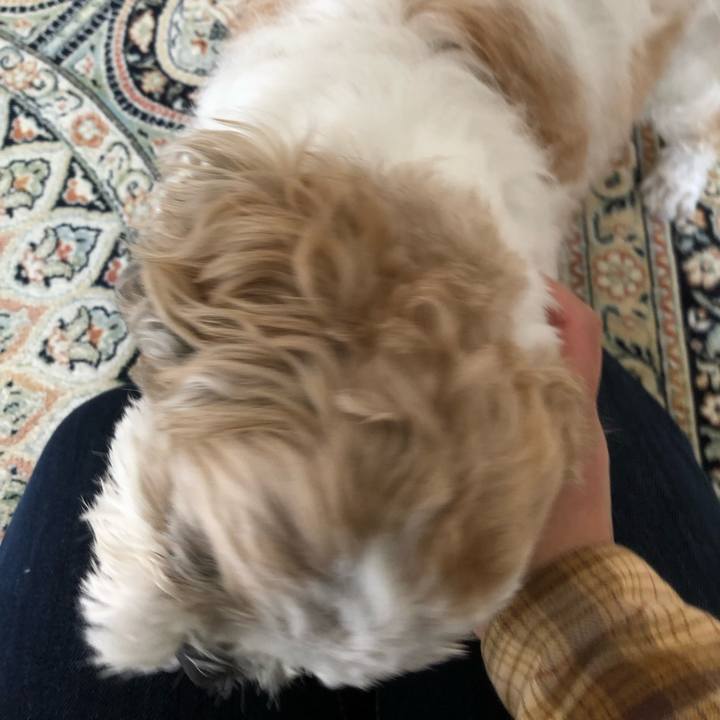 2d558aca dbbf 4a54 9b4a 0541f89e8603 1583359058164