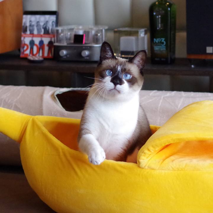 2d559ce1 c602 4b7a 906b 896eca19f2aa 1540959197332