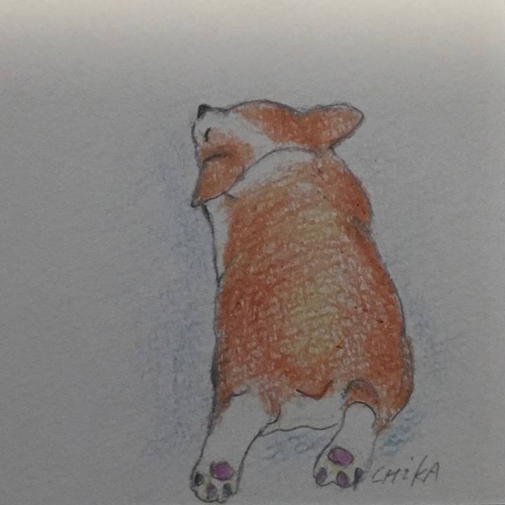 2d55ccaf ddd0 417d b4f0 1f7d750f6d3d 1567874922107