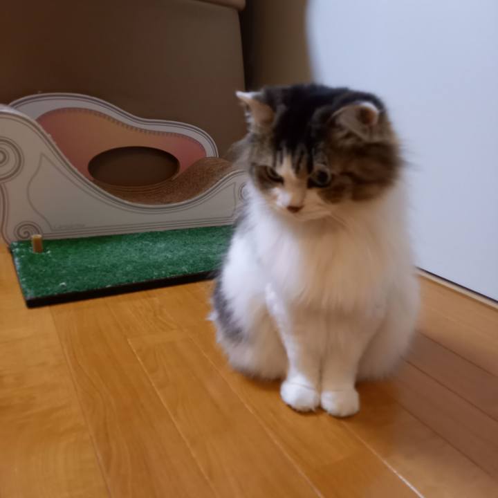 2d55ee3c 3c17 491a a2ed 9b324fdad0e7 1605182619744