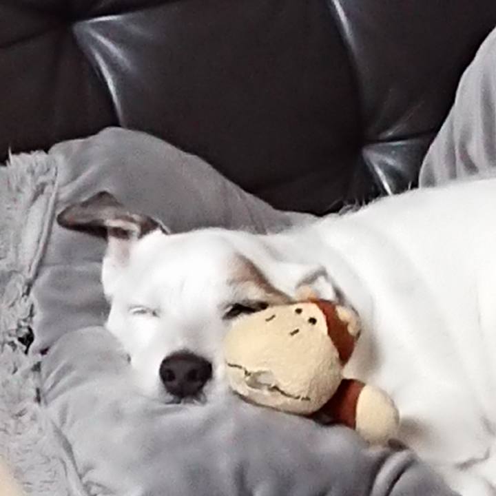 2d56050d df96 4489 af12 41ef01521e52 1526690035810