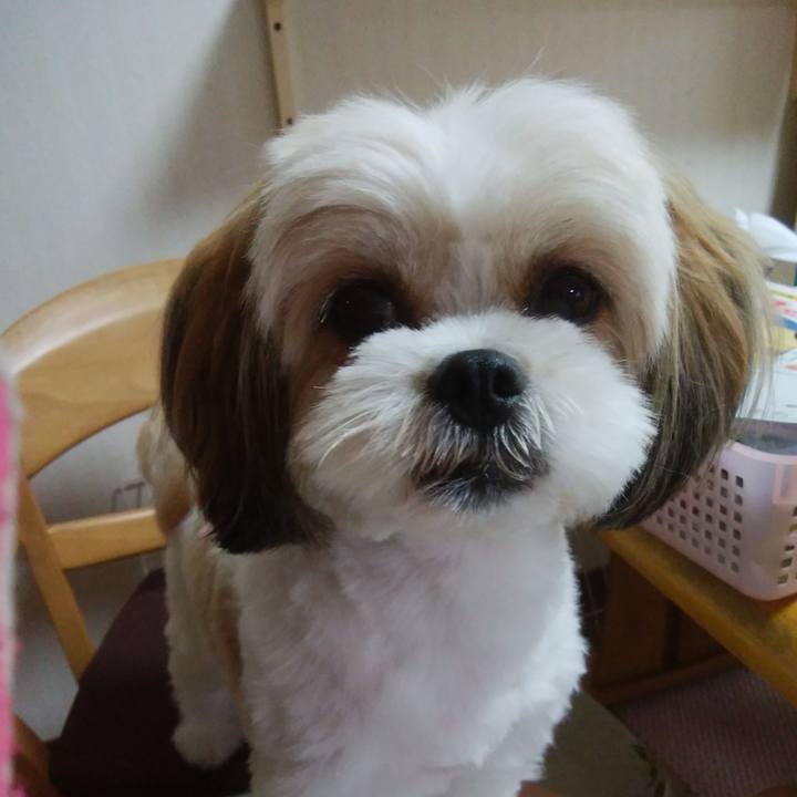 2d562f8c e6b0 48b4 aeac b2e0310ccc66 1535202128038