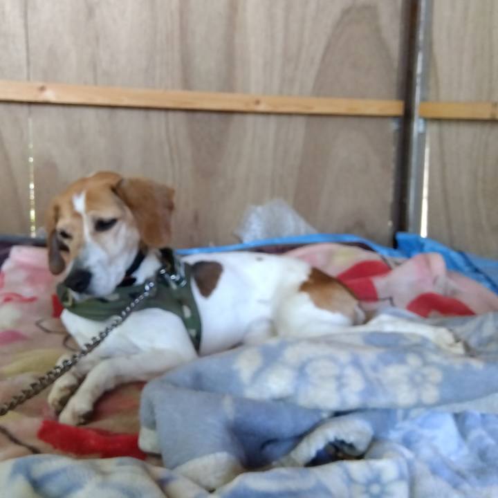 2d563a15 734a 4a36 bf99 c7a13a909481 1681645384964