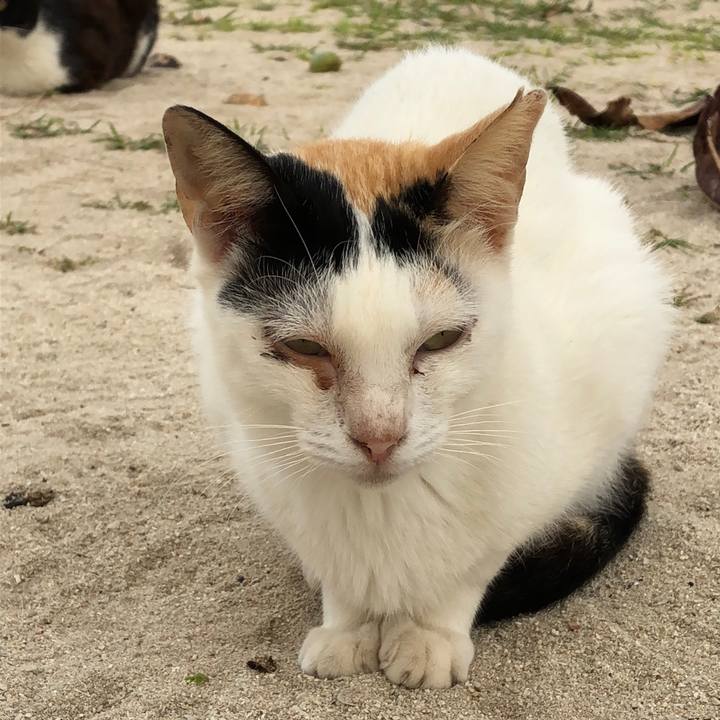 2d5667b0 b5b4 478b af82 7ede2bf2b561 1543915322579