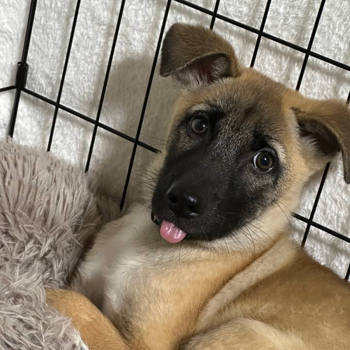 2d56f385 421f 48e6 ba47 30a6cb5e9fa5 1697941579169