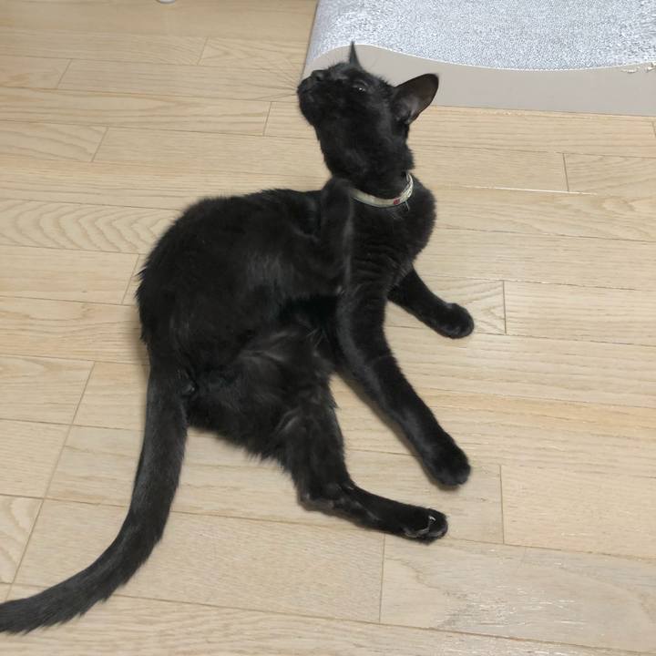 2d570e61 3a4e 4379 8163 9f8cc7c64e4a 1623243246441