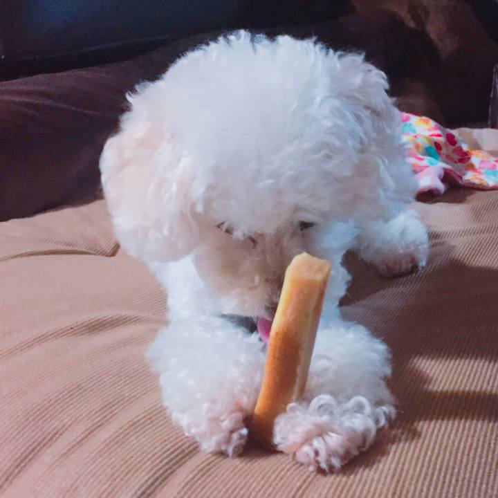 2d572f73 cae8 48d4 b3d8 2b18ead2bda5 1530706697555