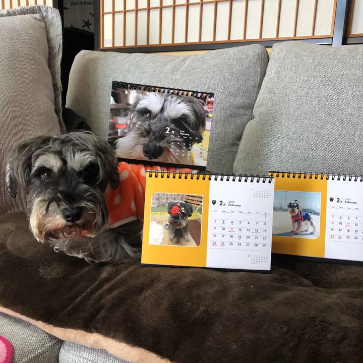 2d576b99 96ac 4ce5 a7d5 2f5162f4fe24 1580639363730