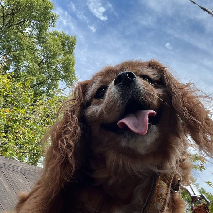 2d576bcf 4b6e 4b59 8a49 5bea48a79546 1760230148288