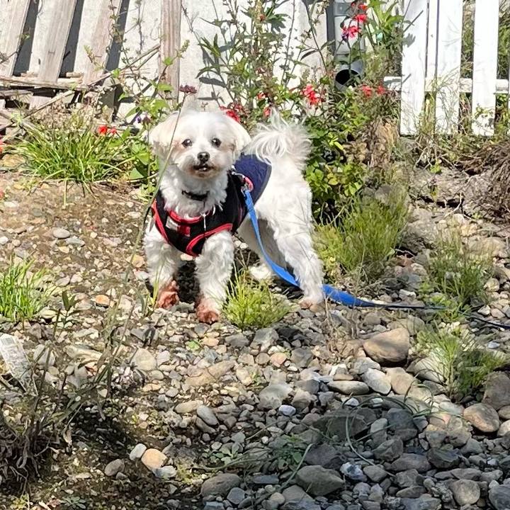 2d57e9e5 09b2 4c05 b9a9 0ca82e7ec95d 1666843804078