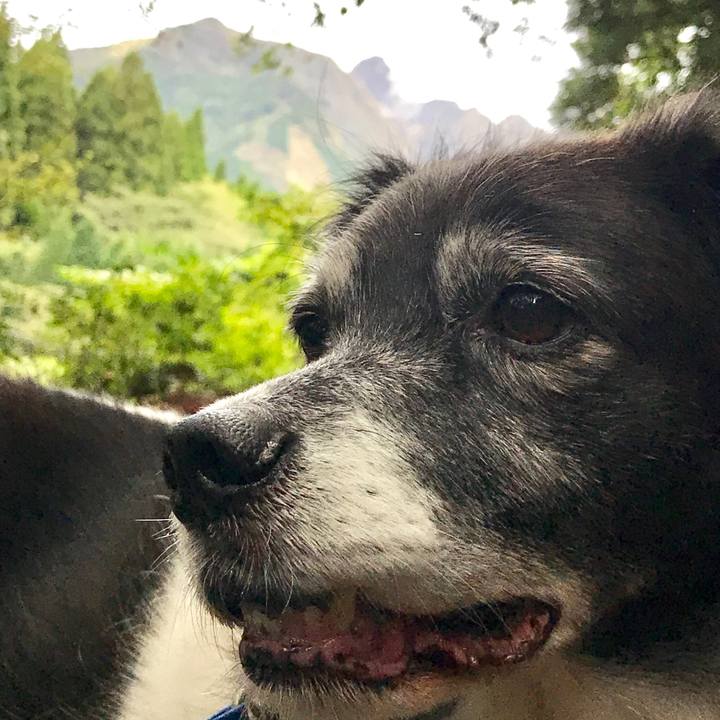 2d58269d 7075 4181 bf93 98b82fffbea3 1539606395486