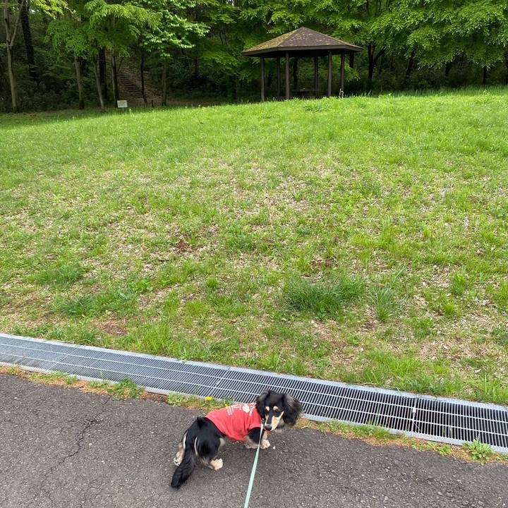 2d582810 ddfd 4ac9 9a74 24f4a724989b 1681623235727