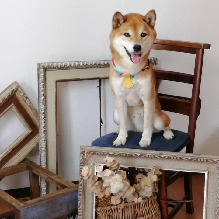 2d585948 2429 4748 baf6 d70725015a7d 1687835844308