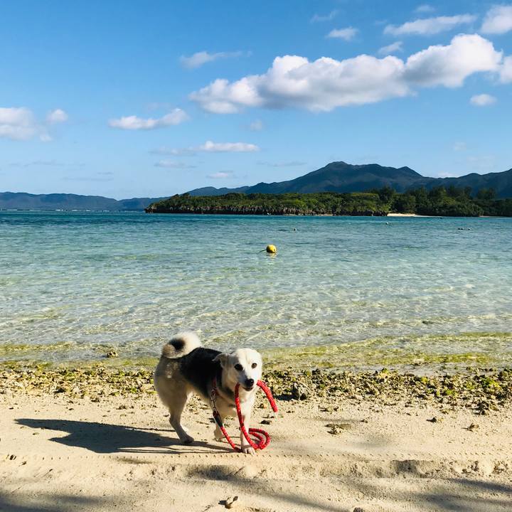 2d589c26 a777 45b6 b006 1ce94393fb9f 1576304633216